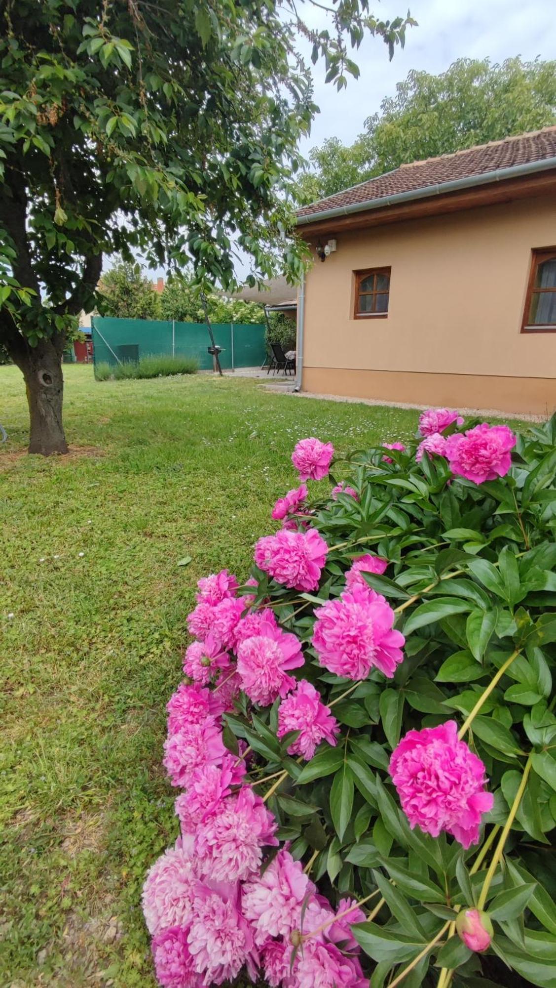 Limonade Apartman Ac Agard Elmenyfuerdo Mellett Гардонь Екстер'єр фото